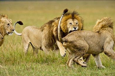 《糖豆人》宣布联动《吃豆人》 联动套装7月27日上线